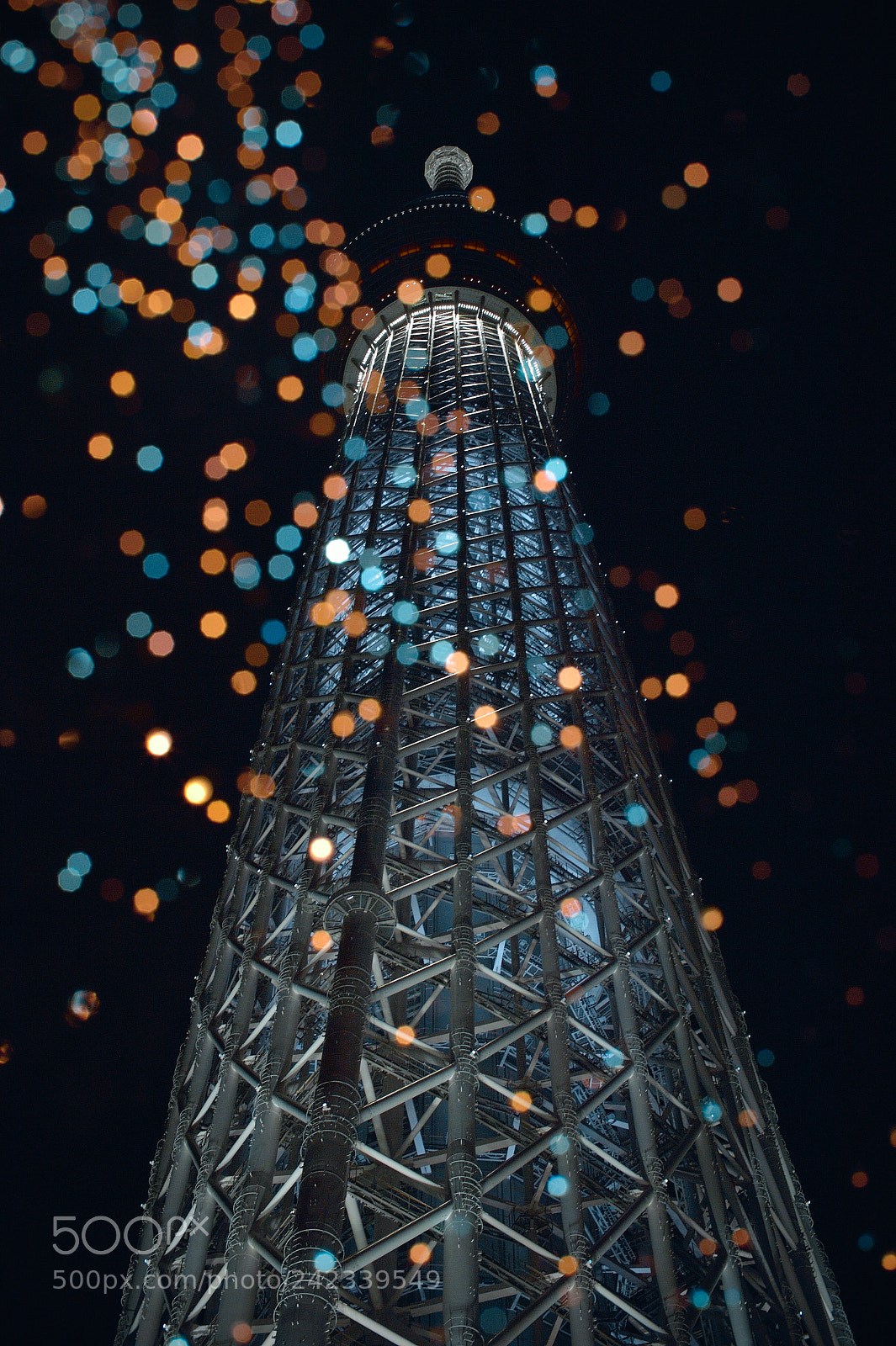 Nikon D4 sample photo. From a great height photography