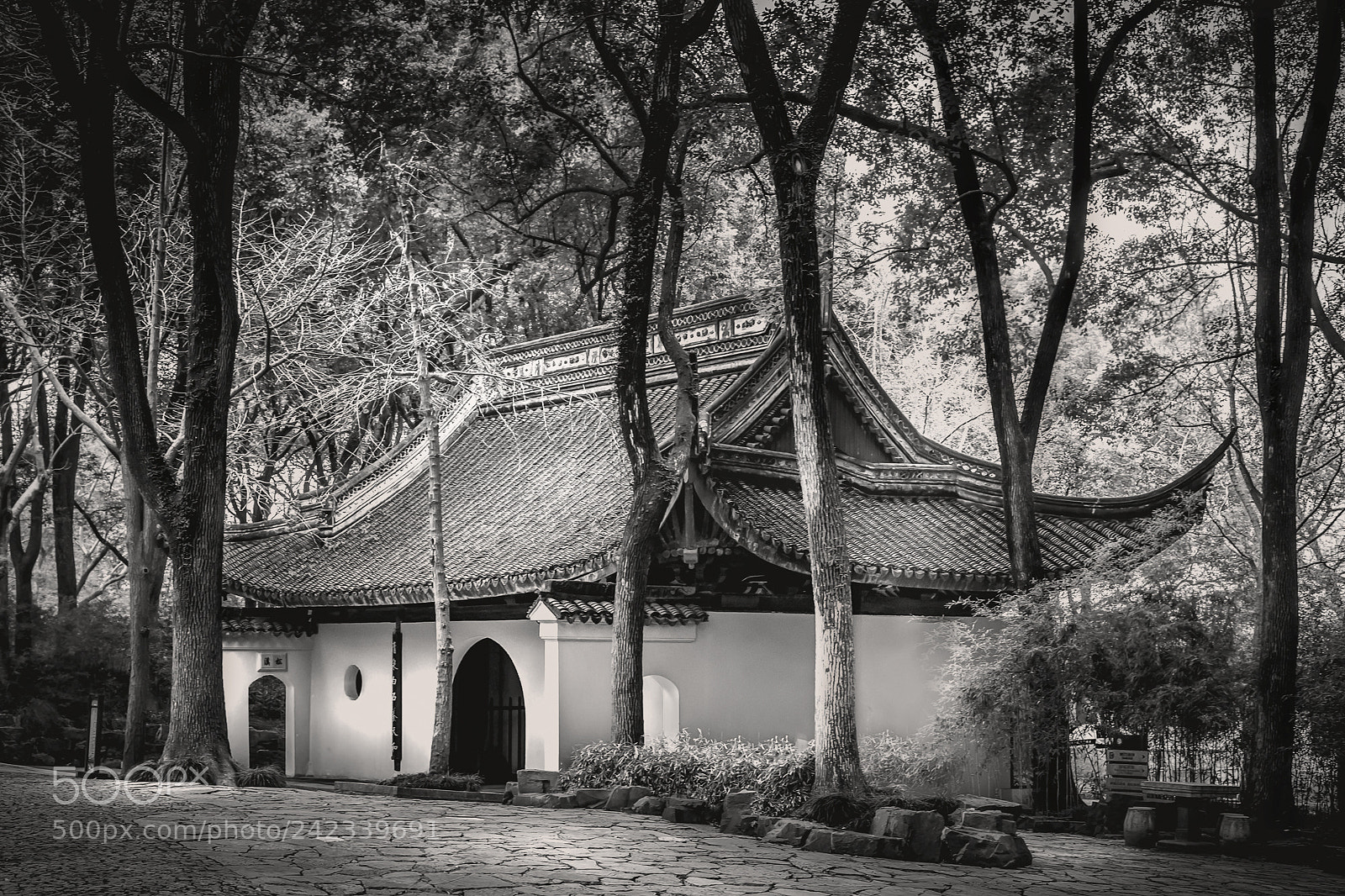 Nikon D810 sample photo. Huqiu garden photography