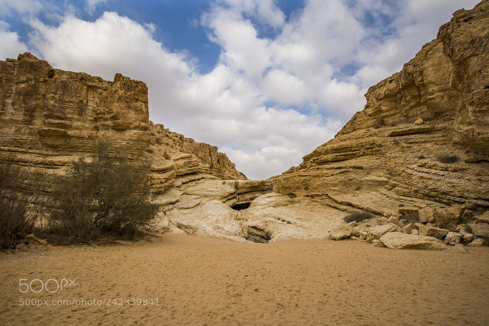 Nikon D7100 sample photo. Gate photography
