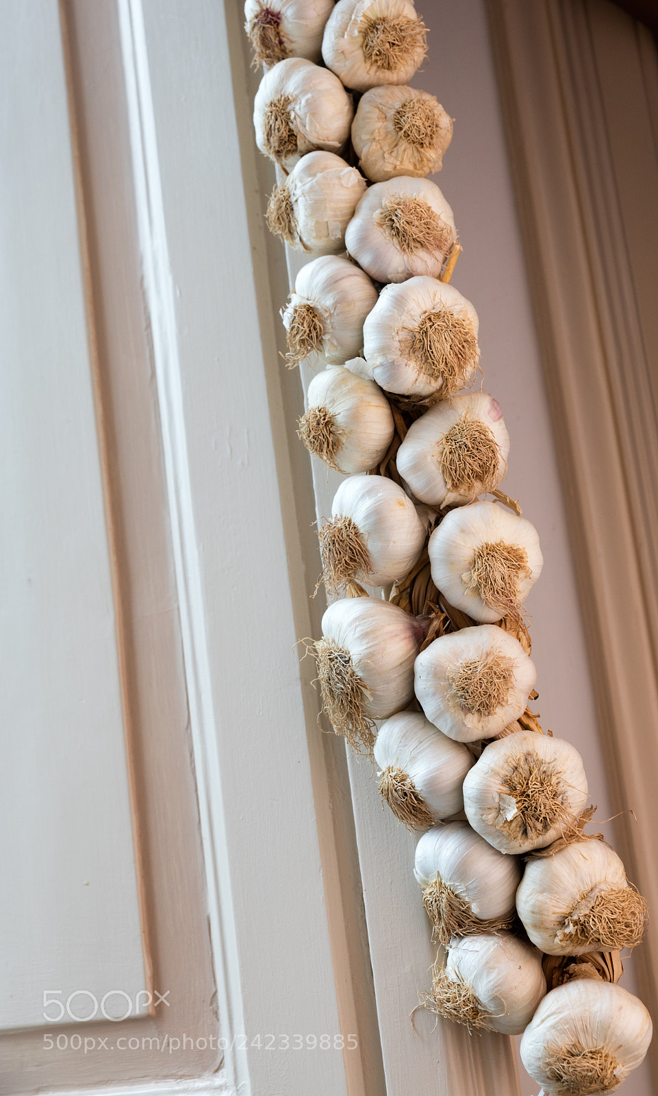 Canon EOS 5DS R sample photo. A garlic braid photography