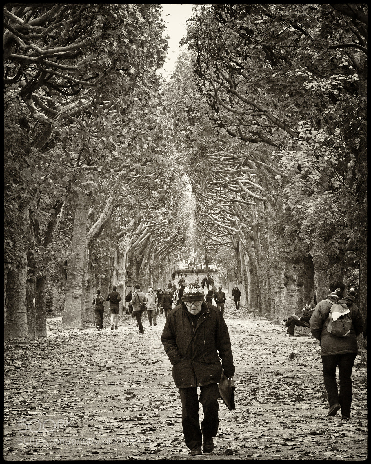 Canon EOS 60D sample photo. In the jardin des photography