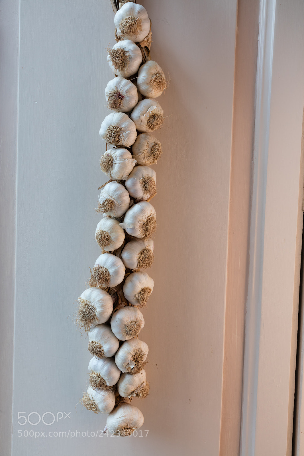Canon EOS 5DS R sample photo. A garlic braid photography