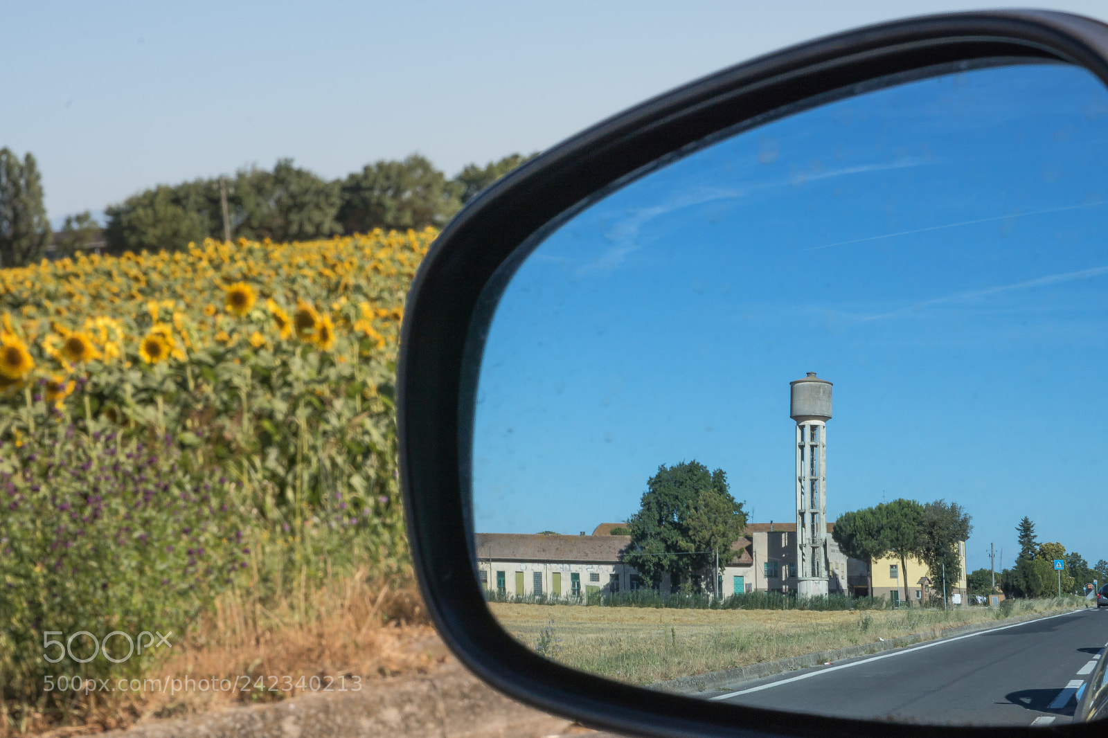Canon EOS 750D (EOS Rebel T6i / EOS Kiss X8i) sample photo. Sunflowers and car mirror photography