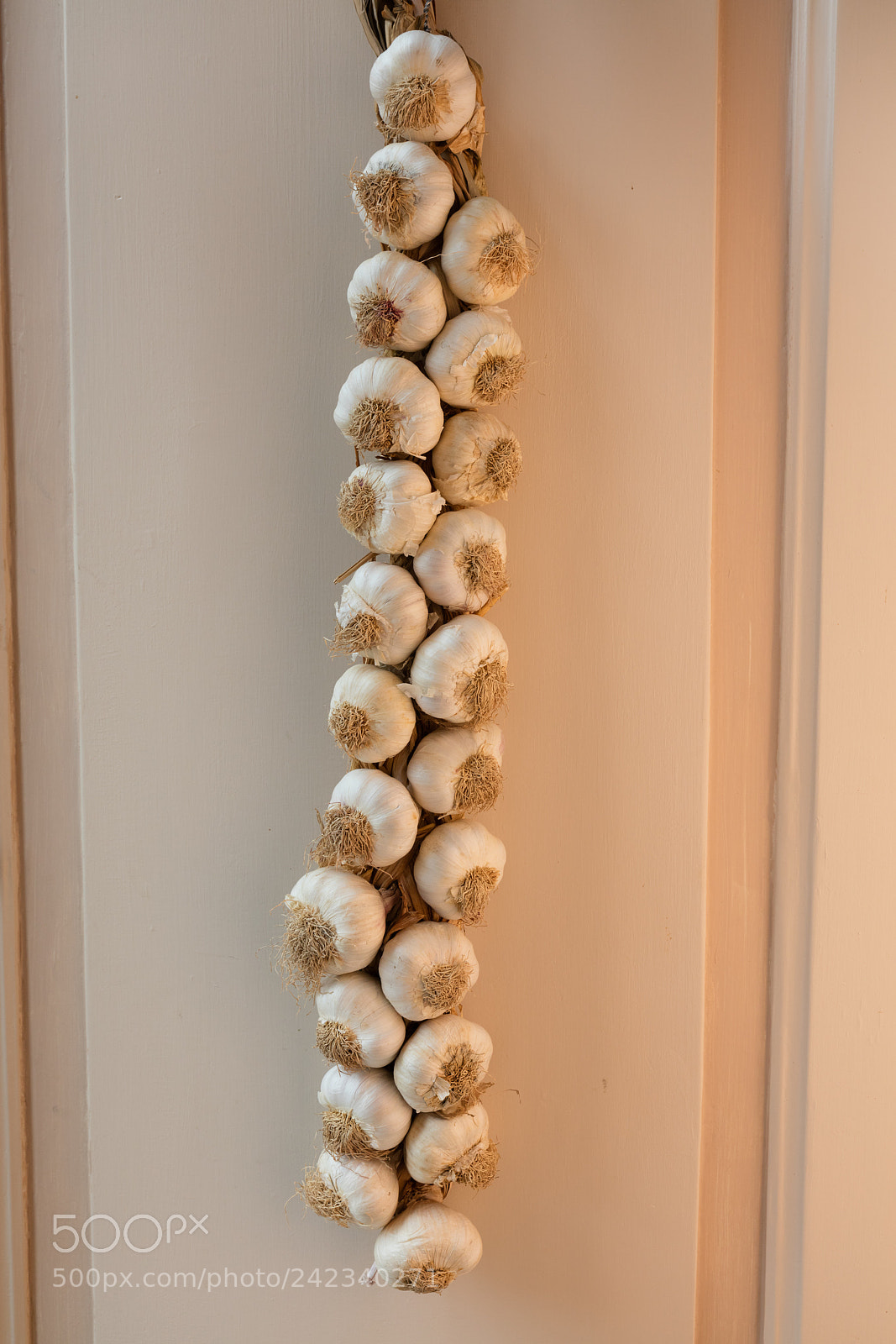 Canon EOS 5DS R sample photo. A garlic braid photography