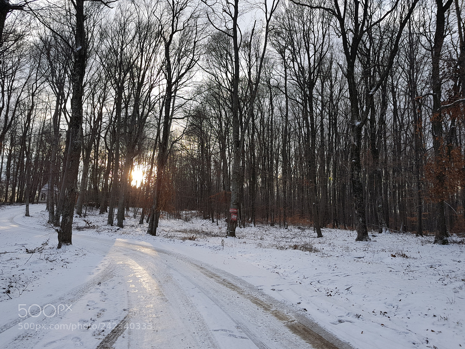 Samsung Galaxy S8+ sample photo. Winter photography