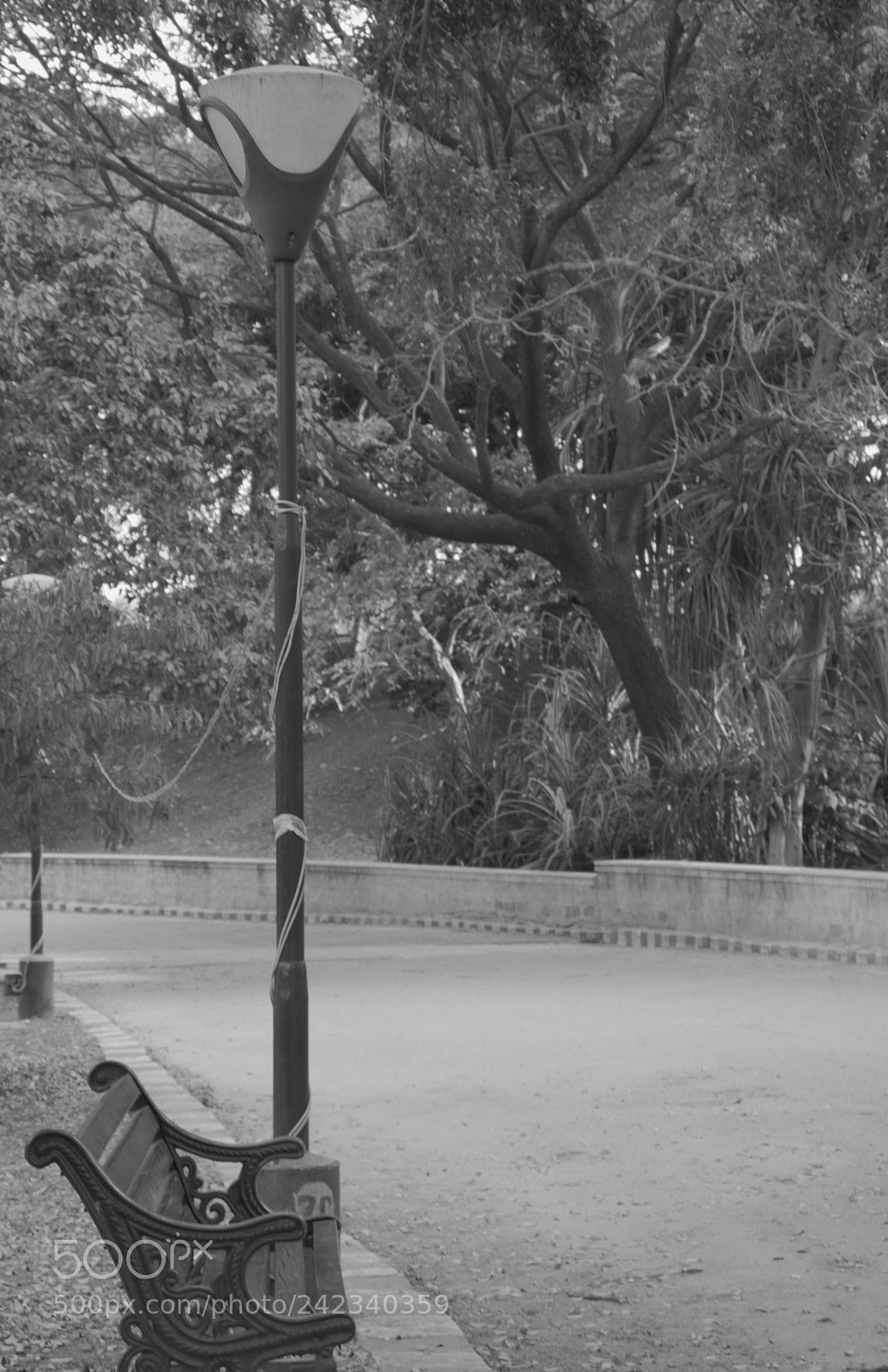 Canon EOS 200D (EOS Rebel SL2 / EOS Kiss X9) sample photo. A nostalgic walk photography