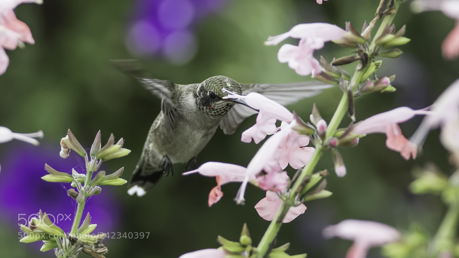 Nikon D7100 sample photo. Day to day photography