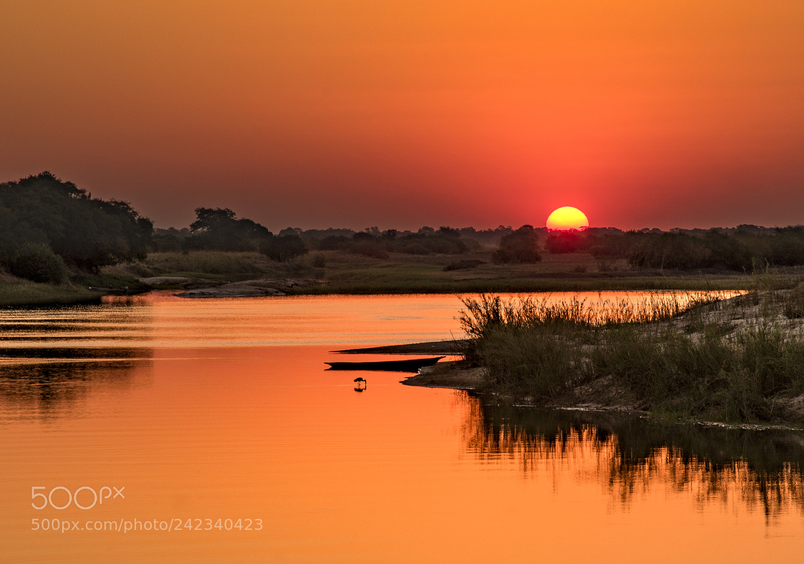 Nikon D810 sample photo. Stork and canoe photography