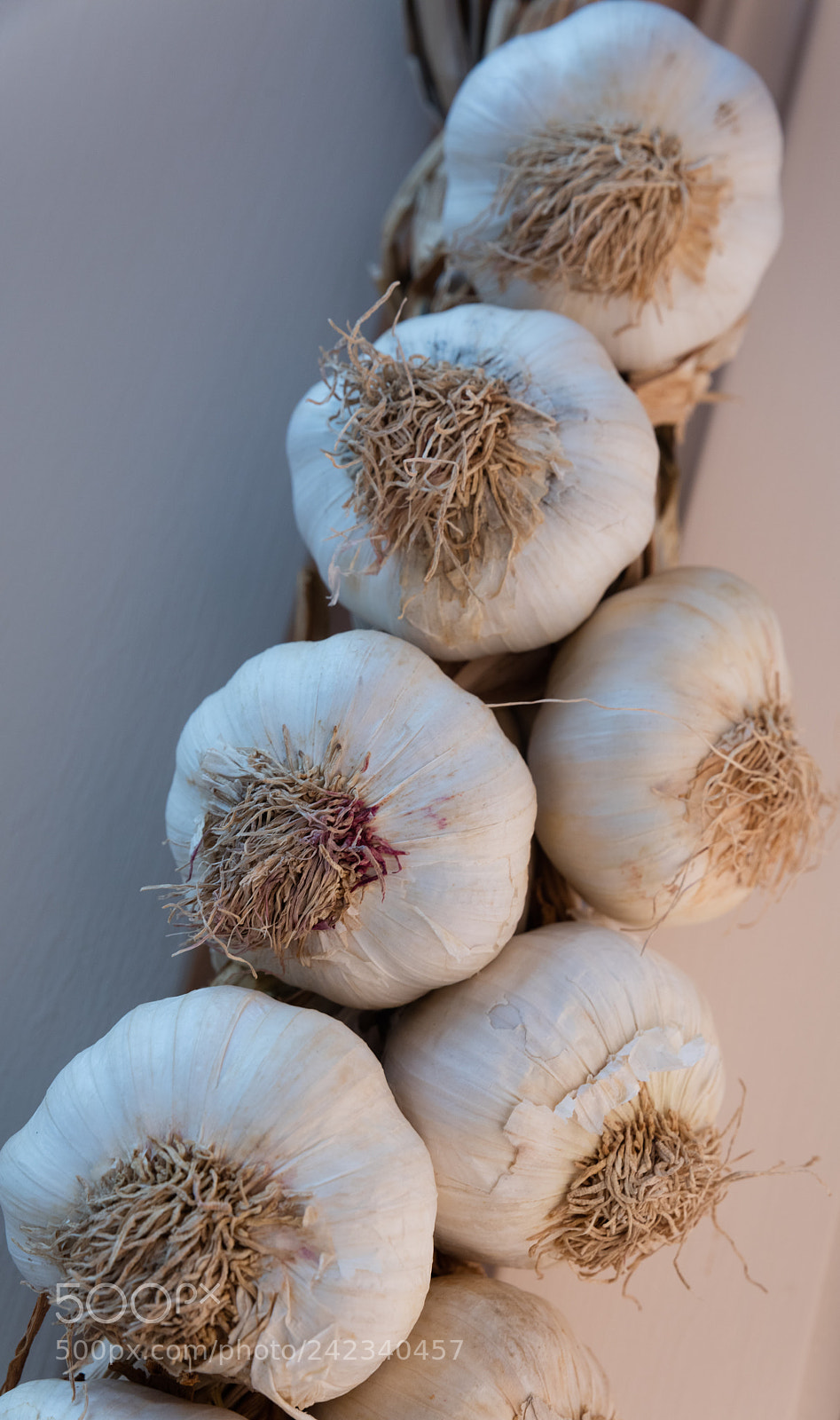 Canon EOS 5DS R sample photo. A garlic braid photography