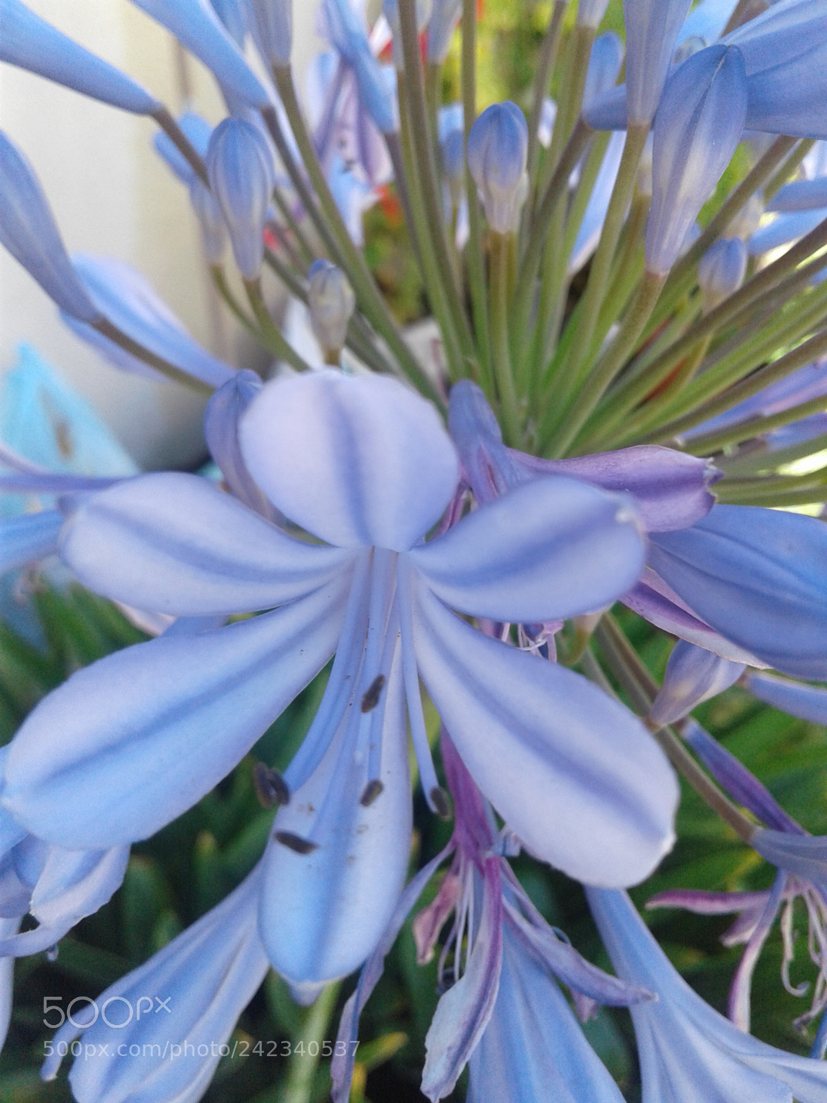 Samsung Galaxy J2 sample photo. Untitled photography