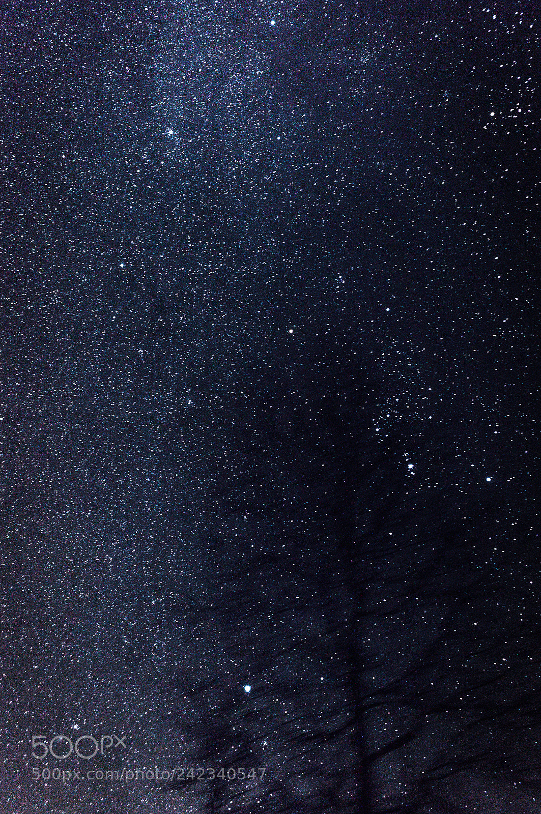 Canon EOS 500D (EOS Rebel T1i / EOS Kiss X3) sample photo. Starry sky photography