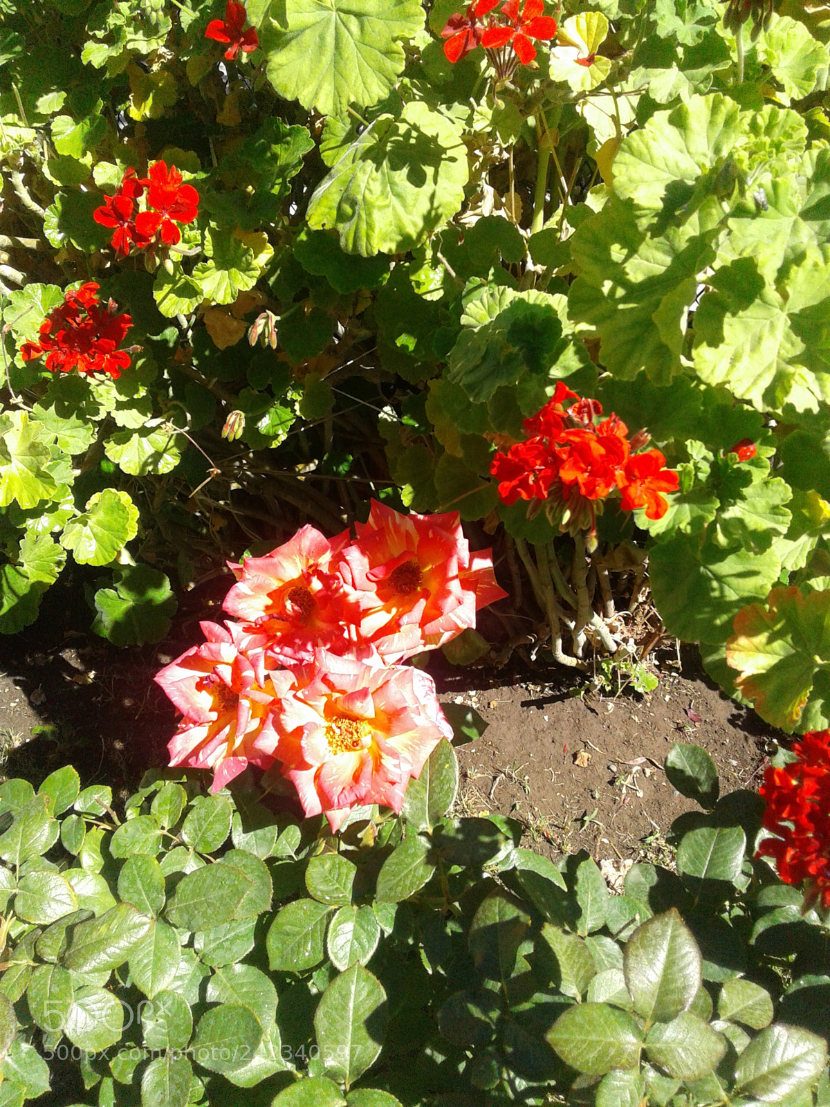 Samsung Galaxy J2 sample photo. Untitled photography