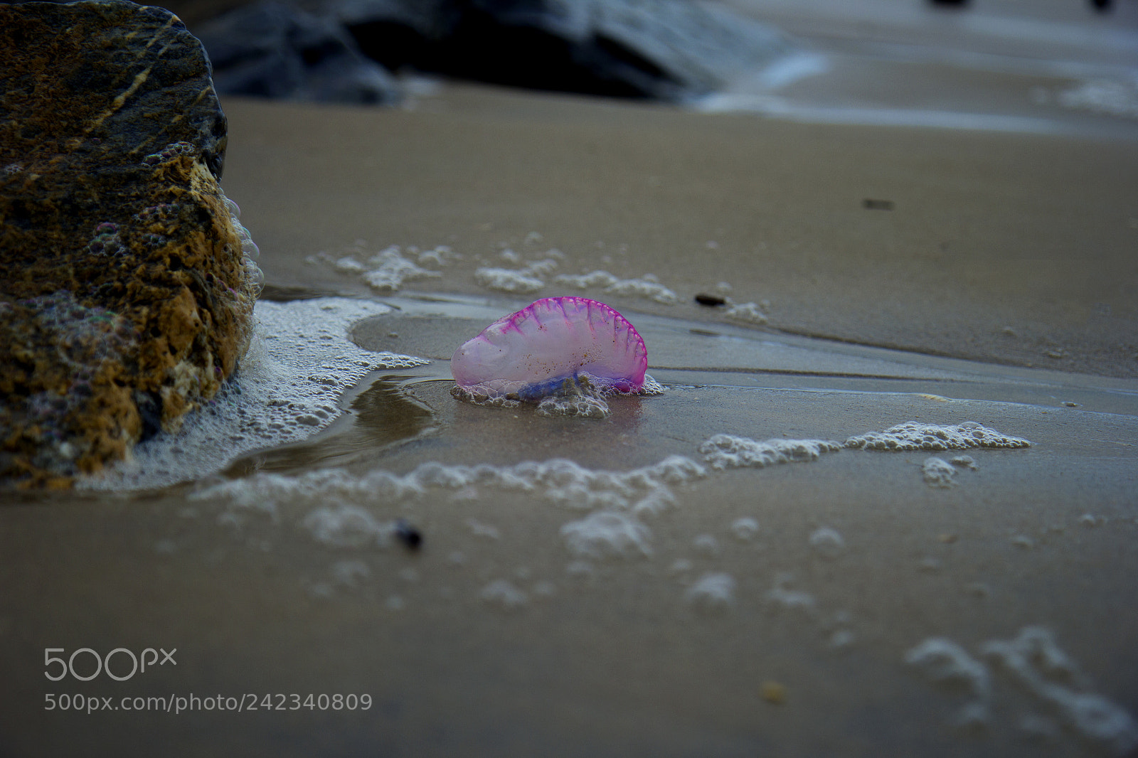 Canon EOS 60D sample photo. Stranded photography