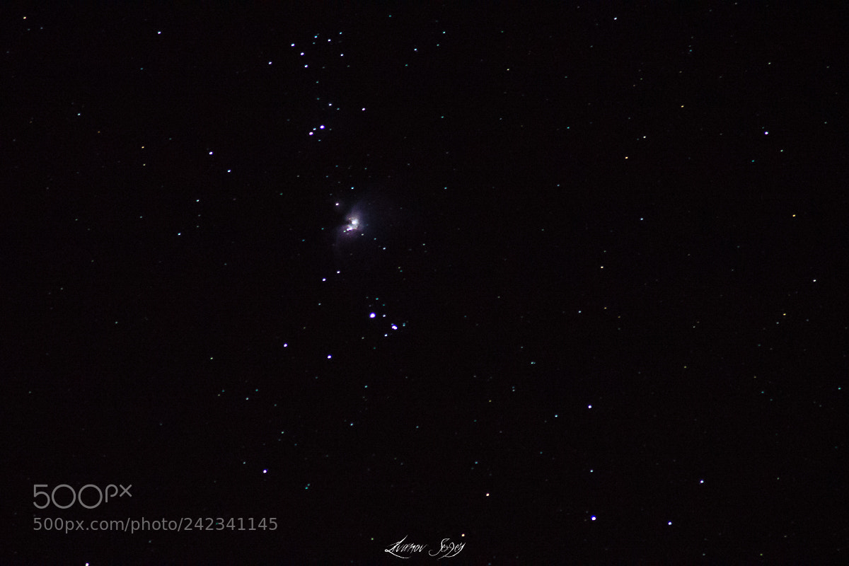 Nikon D600 sample photo. The great nebula of photography