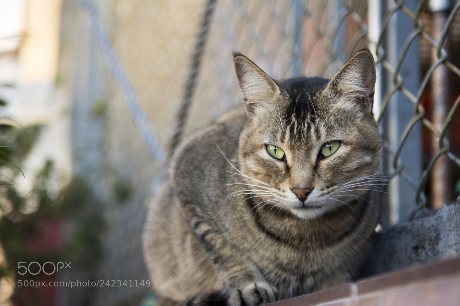 Nikon D7100 sample photo. Another day photography