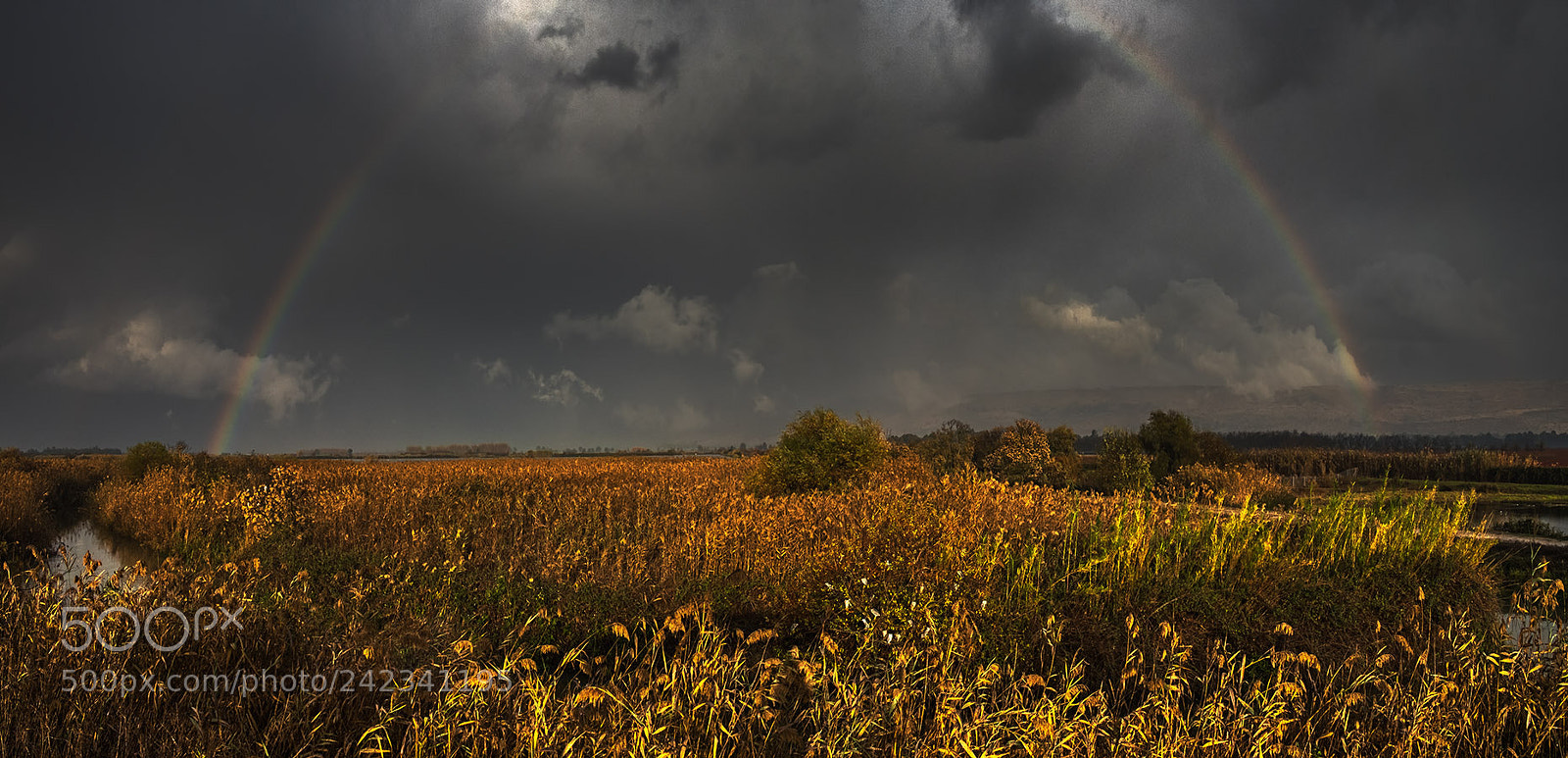 Fujifilm X-T1 sample photo. The rainbow. photography