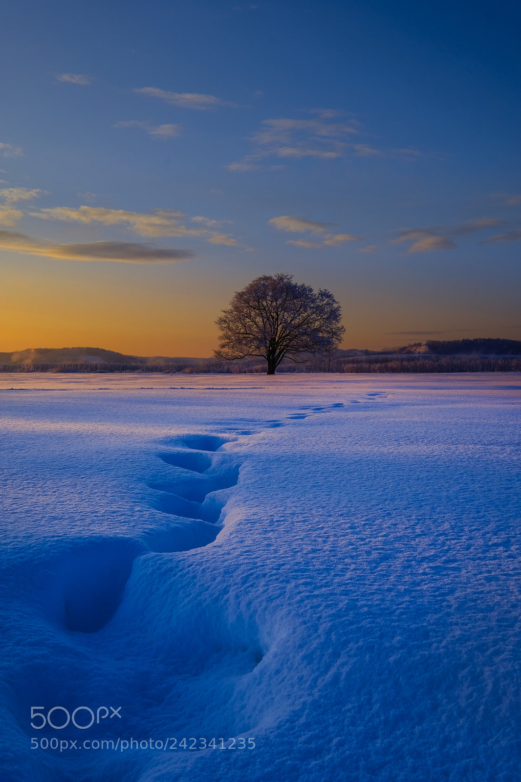 Fujifilm X-T2 sample photo. Winter sunrise at hokkaido photography