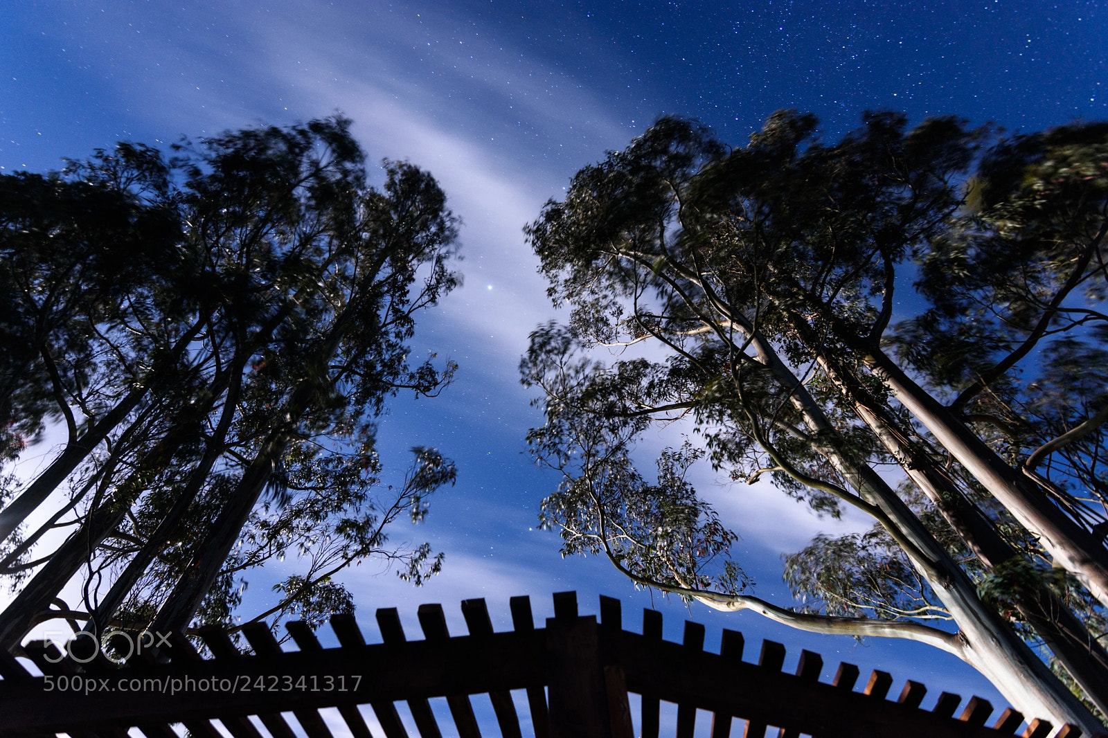 Nikon D7200 sample photo. Deep outside photography