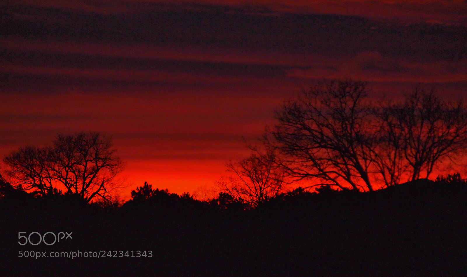 Olympus E-5 sample photo. Sunset photography