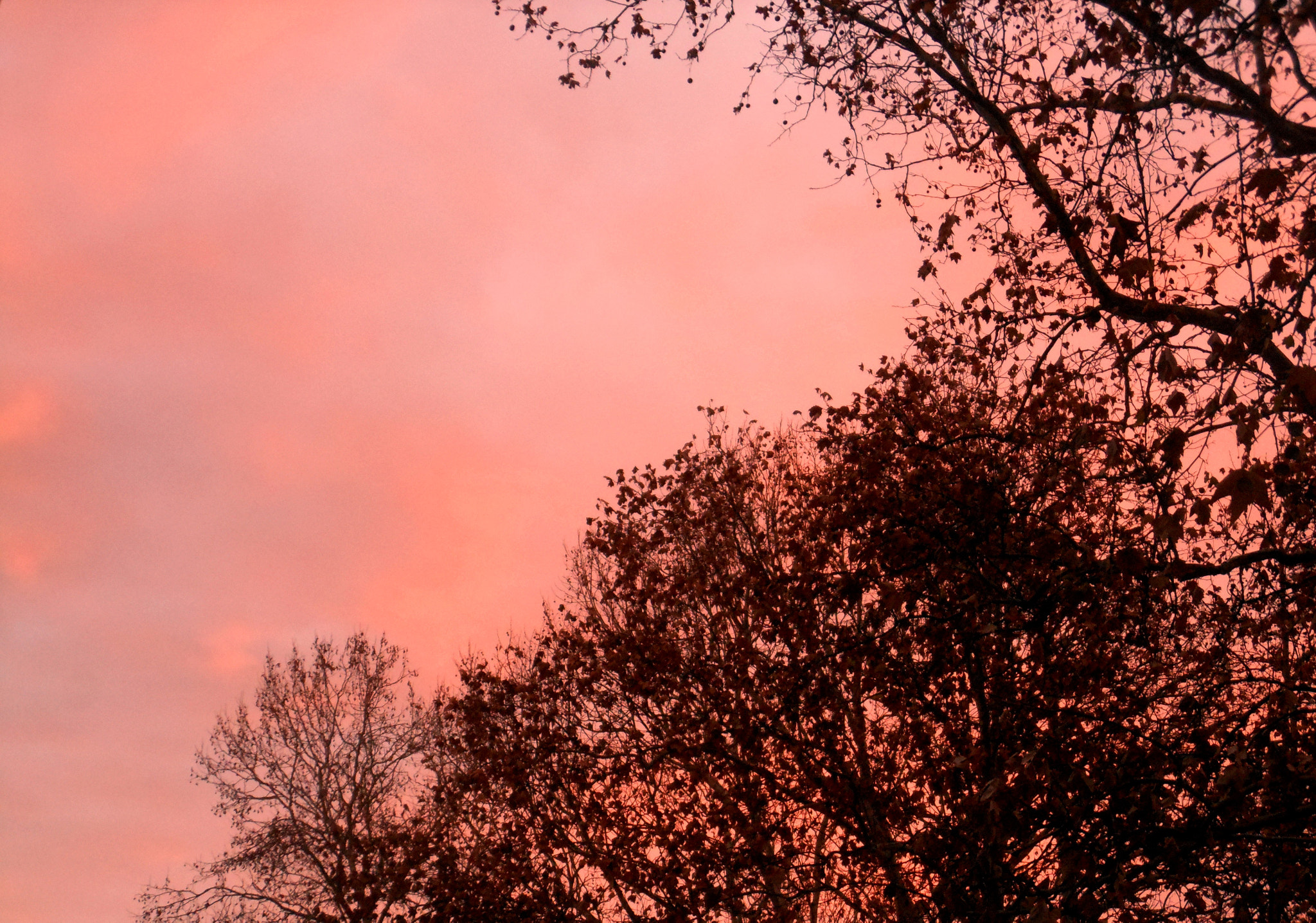 Nikon Coolpix S6200 sample photo. Sky photography