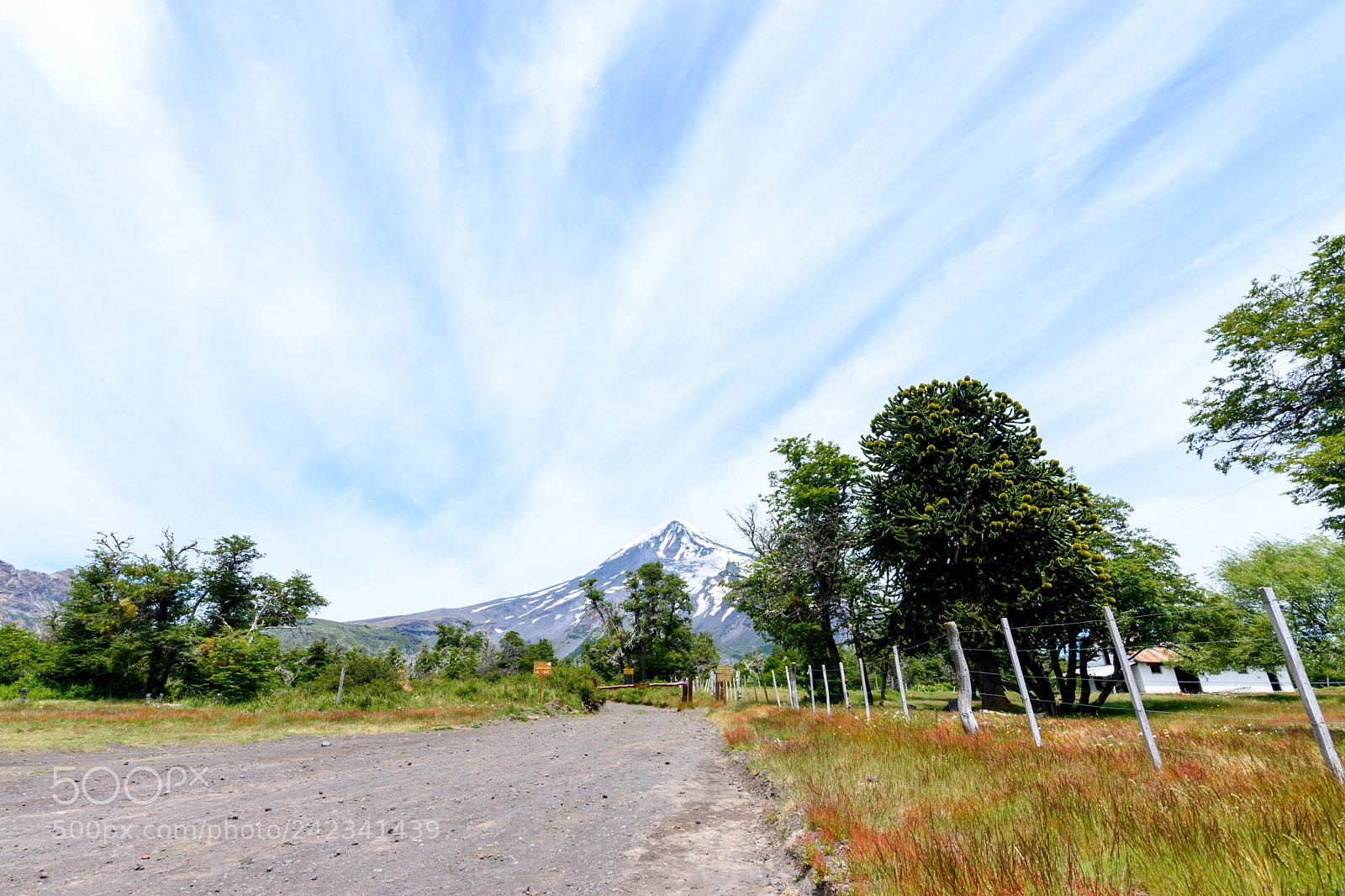 Nikon D7200 sample photo. Camino a casa photography