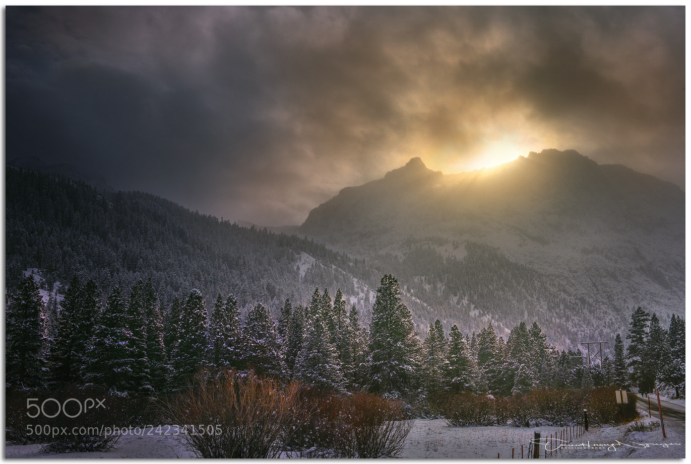 Nikon D810 sample photo. A sunset photography