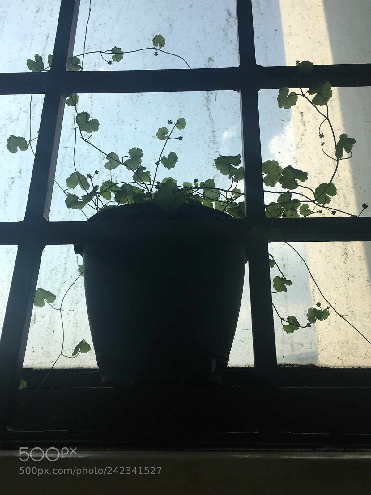 Apple iPhone 6s sample photo. Exposed. photography