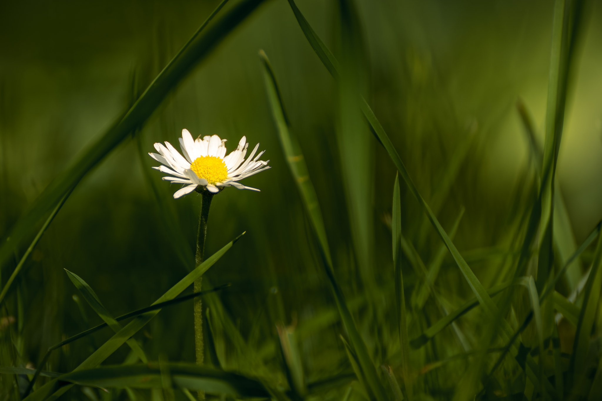 Nikon D7100 sample photo. Struggle photography
