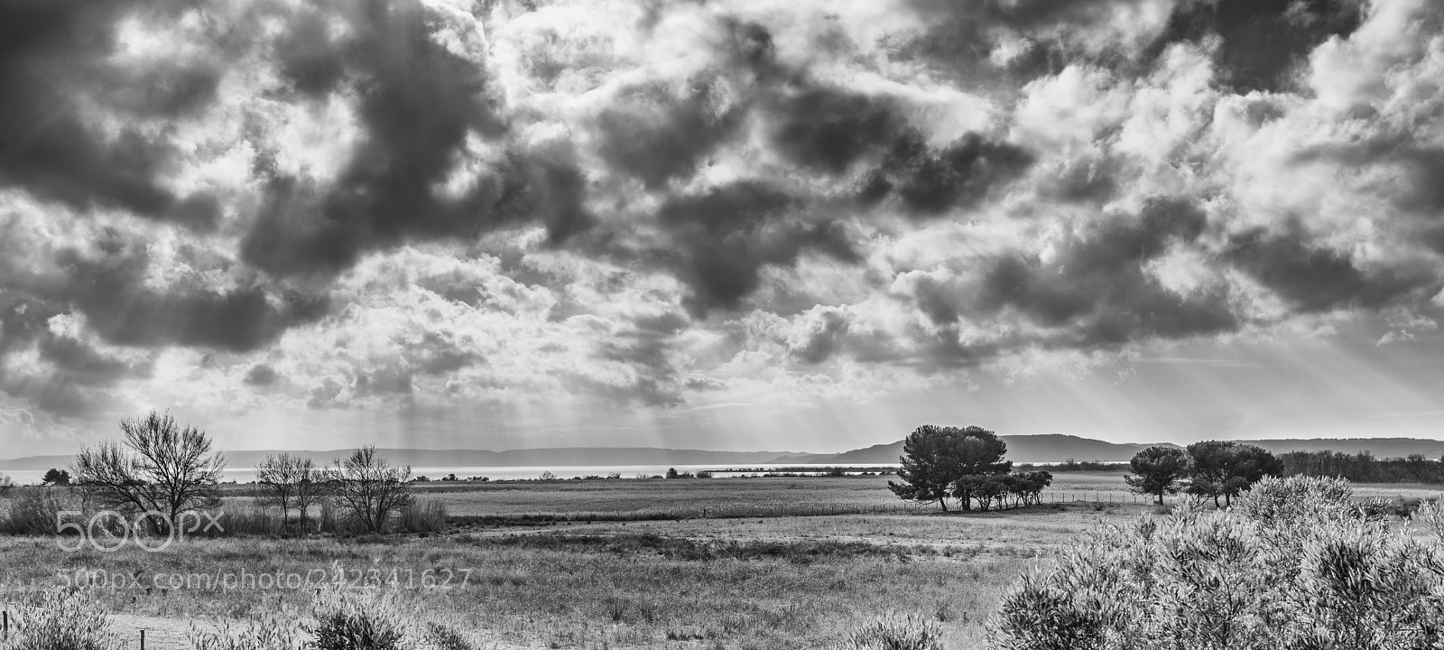 Nikon D850 sample photo. Cloudy and sunny photography