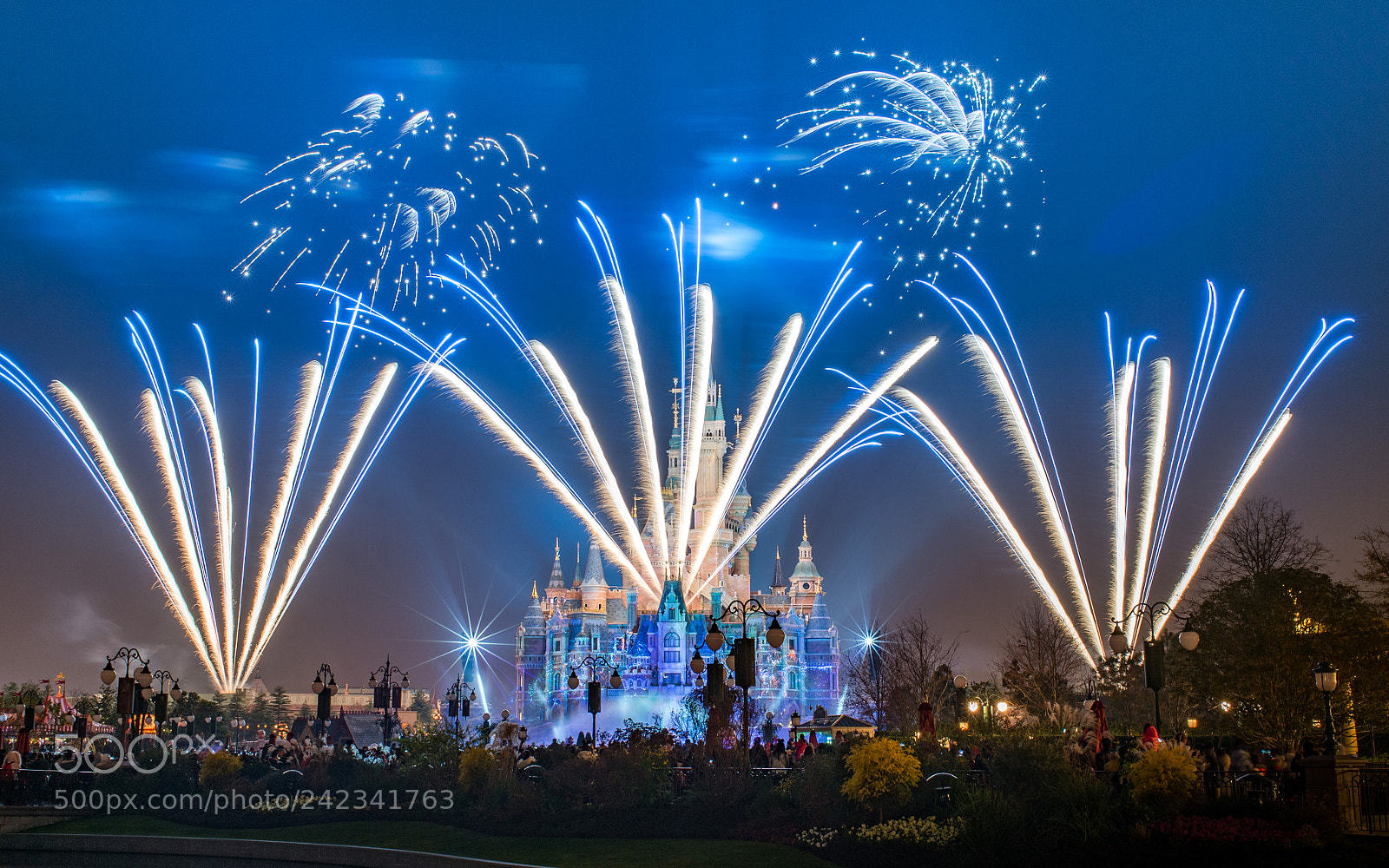 Nikon Df sample photo. Fireworks in shanghai disneyland photography
