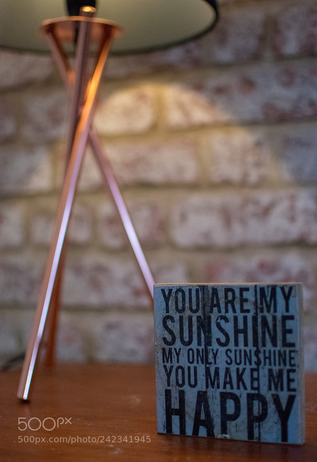 Nikon D3400 sample photo. You are my sunshine photography