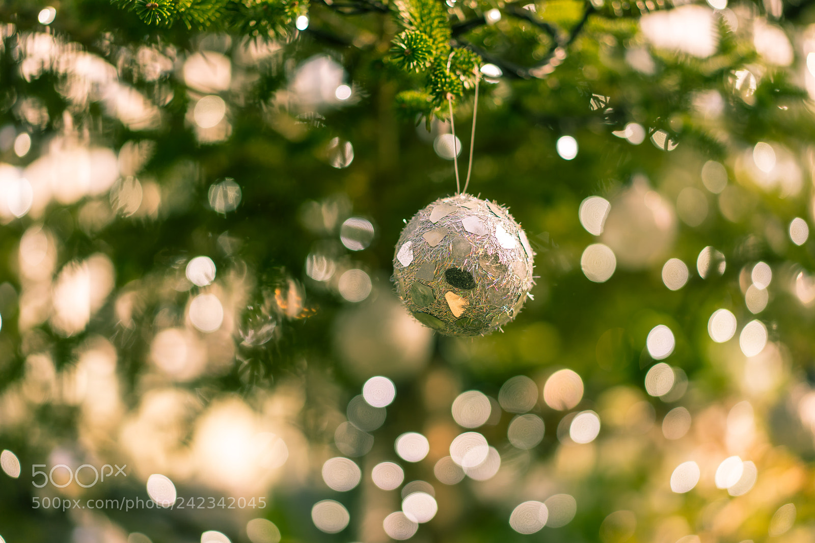 Sony a7 II sample photo. Kindness of light photography