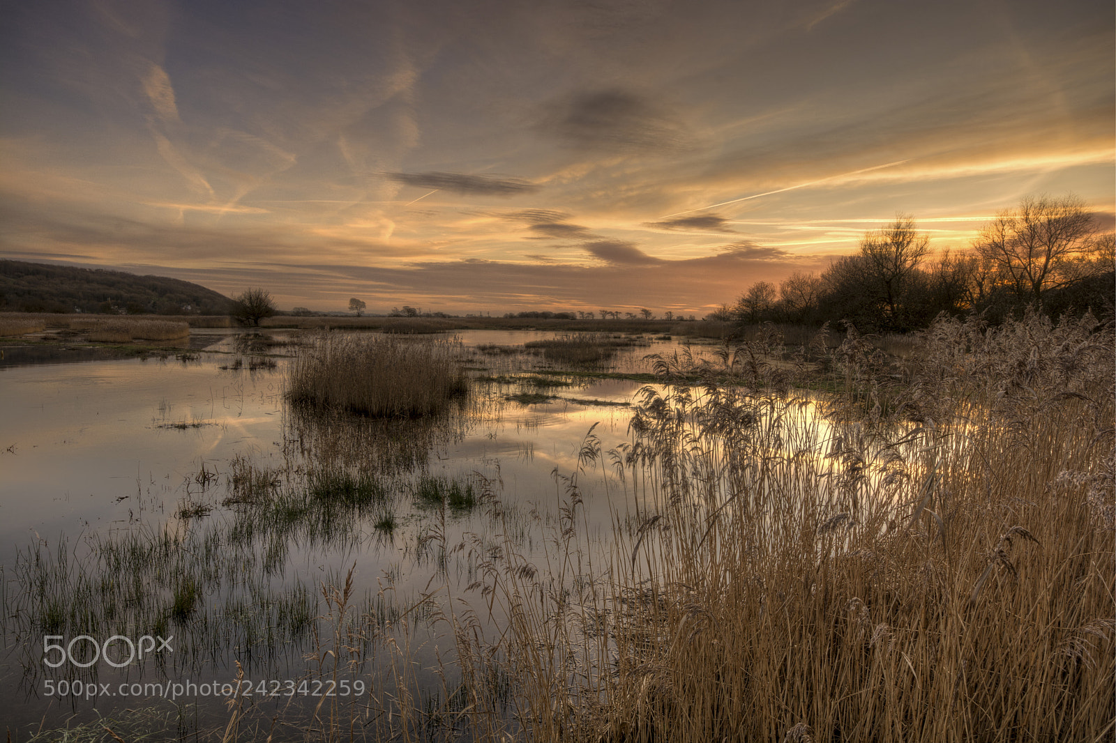 Nikon D7100 sample photo. Leighton moss sun set photography