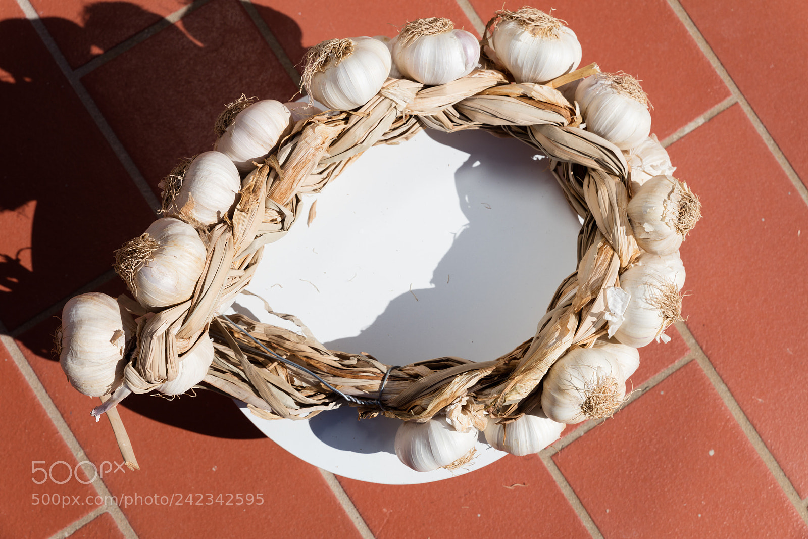 Canon EOS 5DS R sample photo. A garlic braid photography