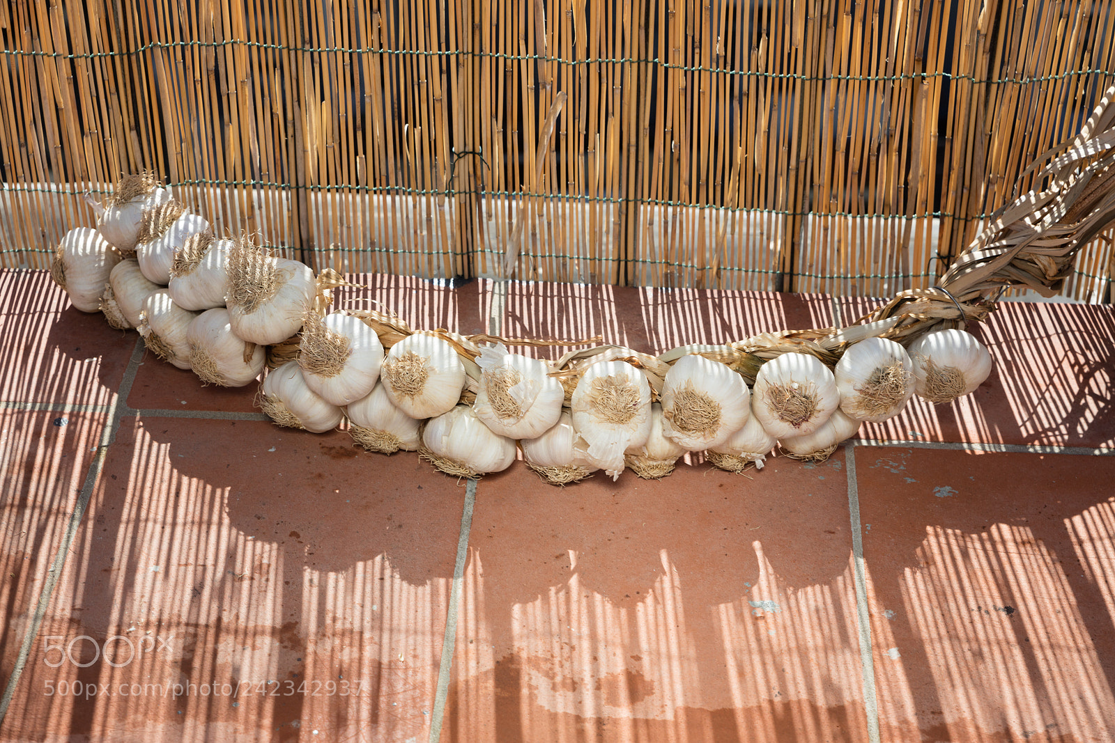 Canon EOS 5DS R sample photo. A garlic braid photography