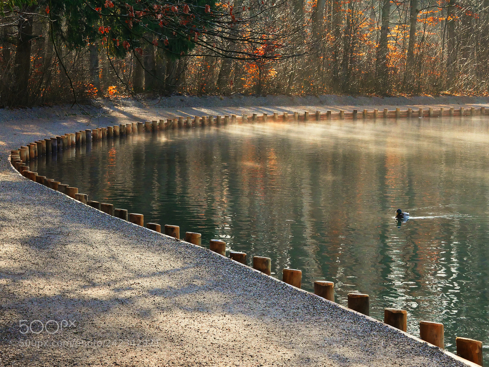 Panasonic Lumix DMC-GX85 (Lumix DMC-GX80 / Lumix DMC-GX7 Mark II) sample photo. Pond of tranquility photography