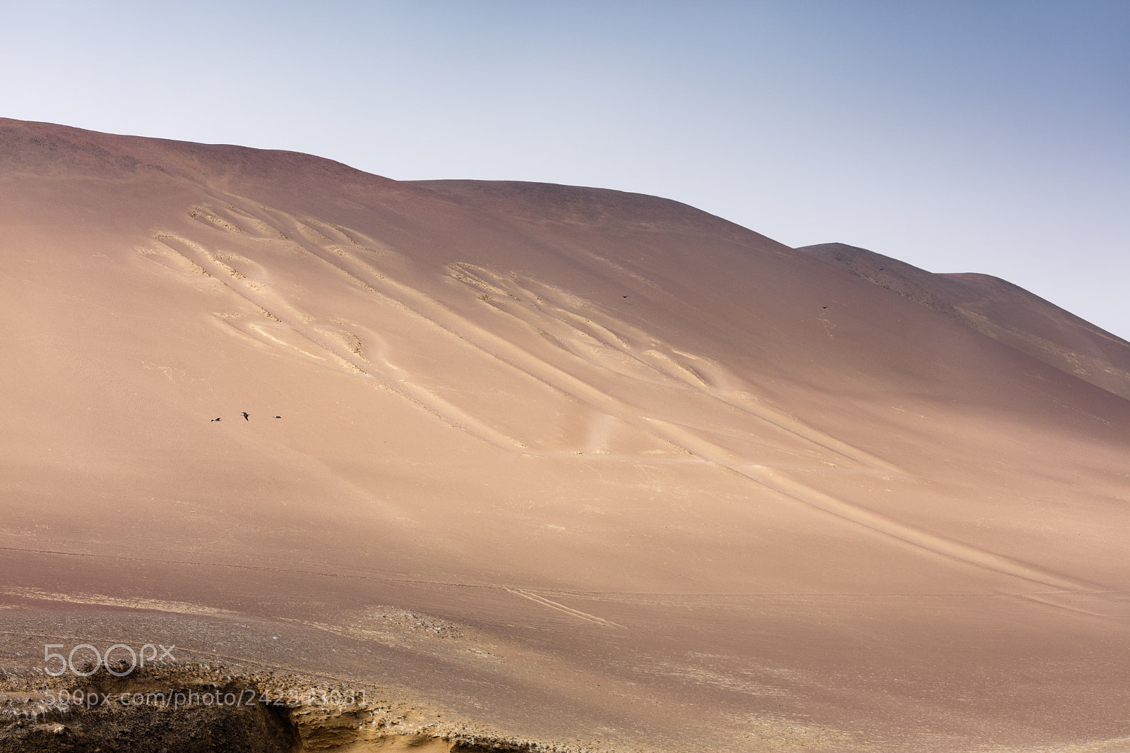 Canon EOS 5DS R sample photo. Ballestas candelabrum mark photography