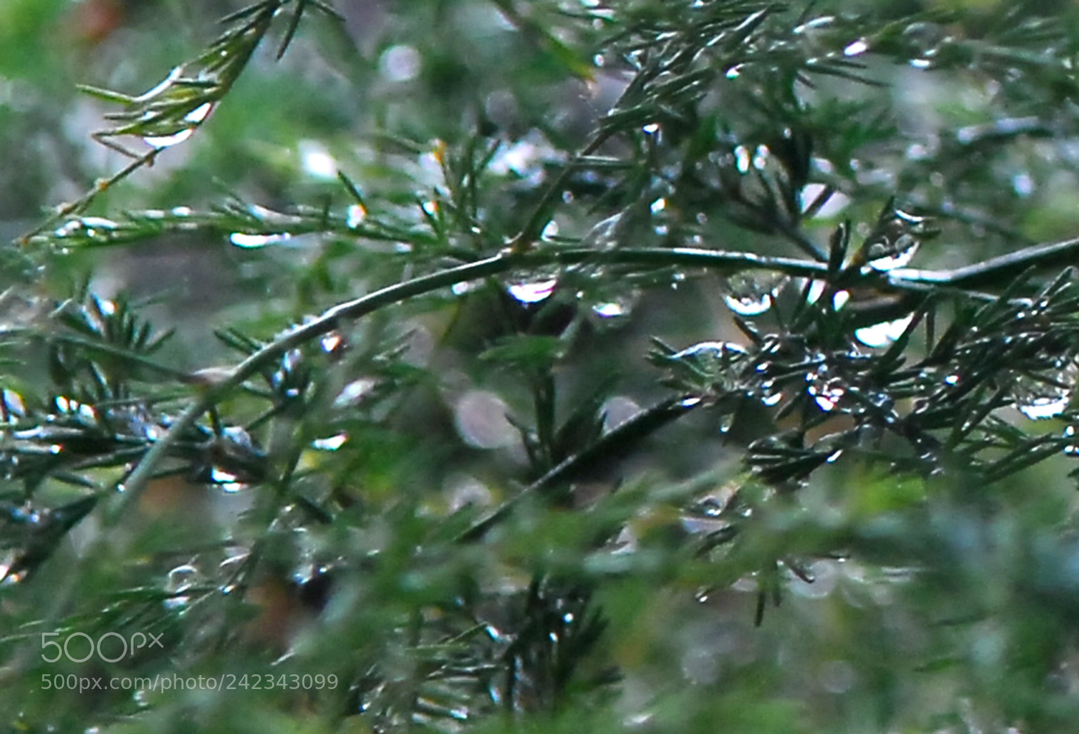 Nikon D200 sample photo. About the weather... photography