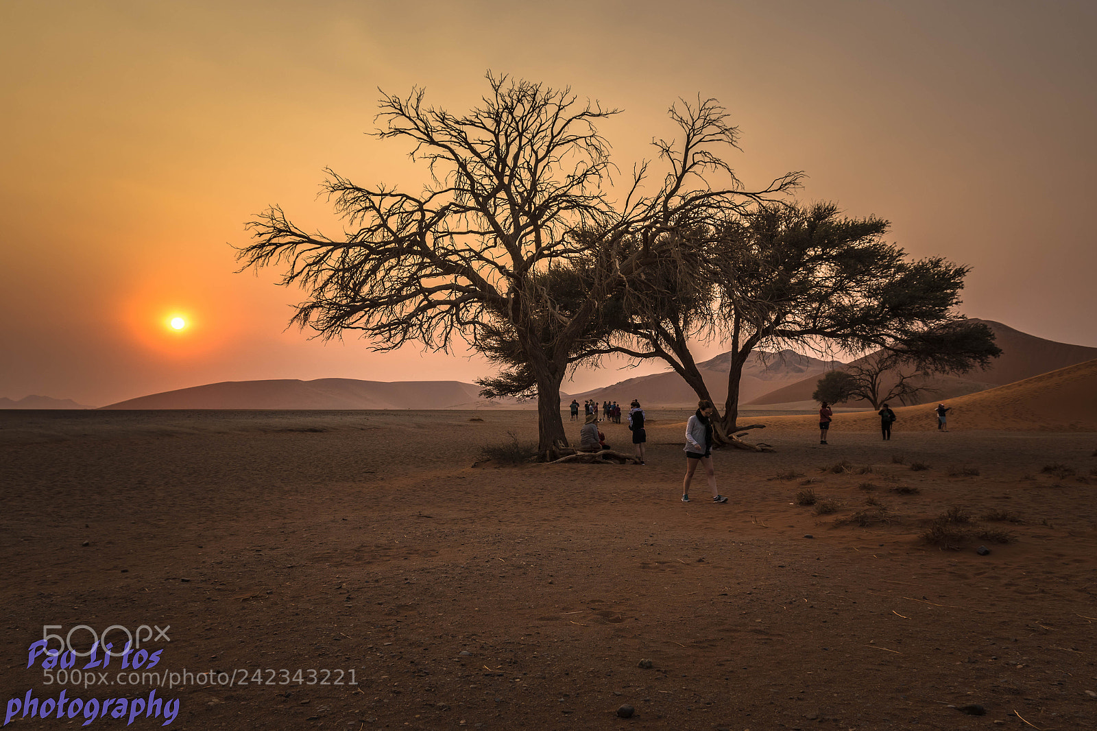 Canon EOS 7D Mark II sample photo. Lev de soleil dune photography