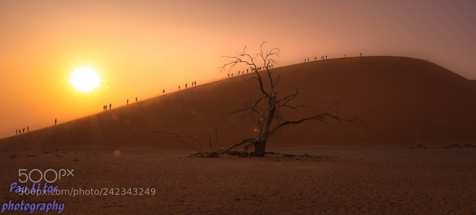 Canon EOS 7D Mark II sample photo. Lev de soleil sur photography