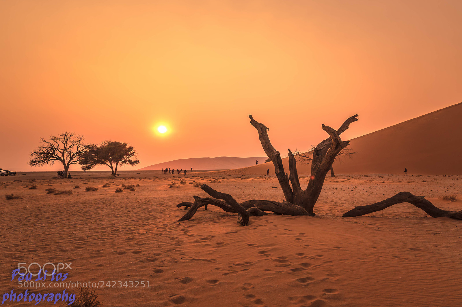 Canon EOS 7D Mark II sample photo. Lev de soleil dune photography