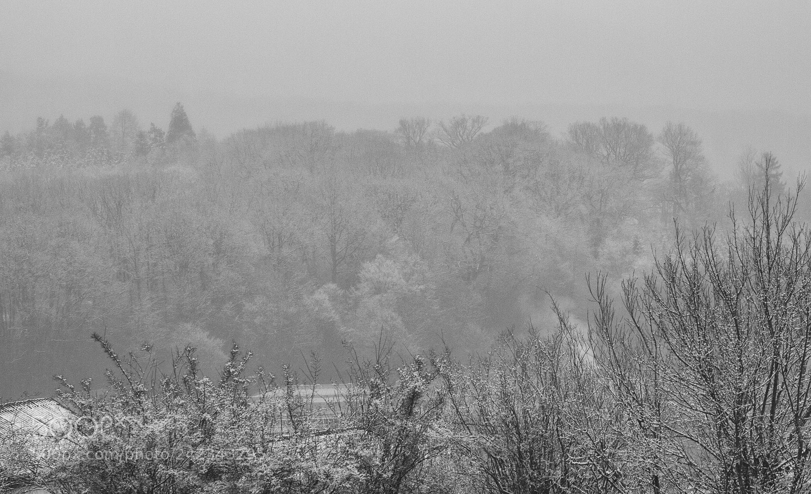 Canon EOS 50D sample photo. Winter photography
