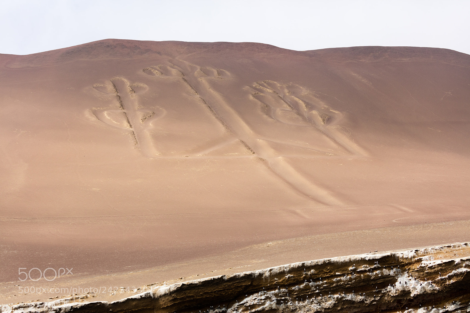 Canon EOS 5DS R sample photo. Ballestas candelabrum mark photography