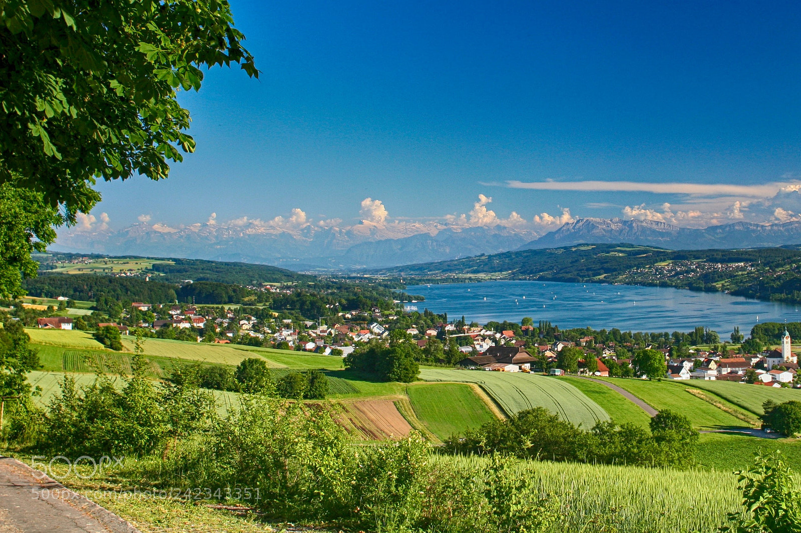 Canon EOS 20D sample photo. Hallwilersee photography