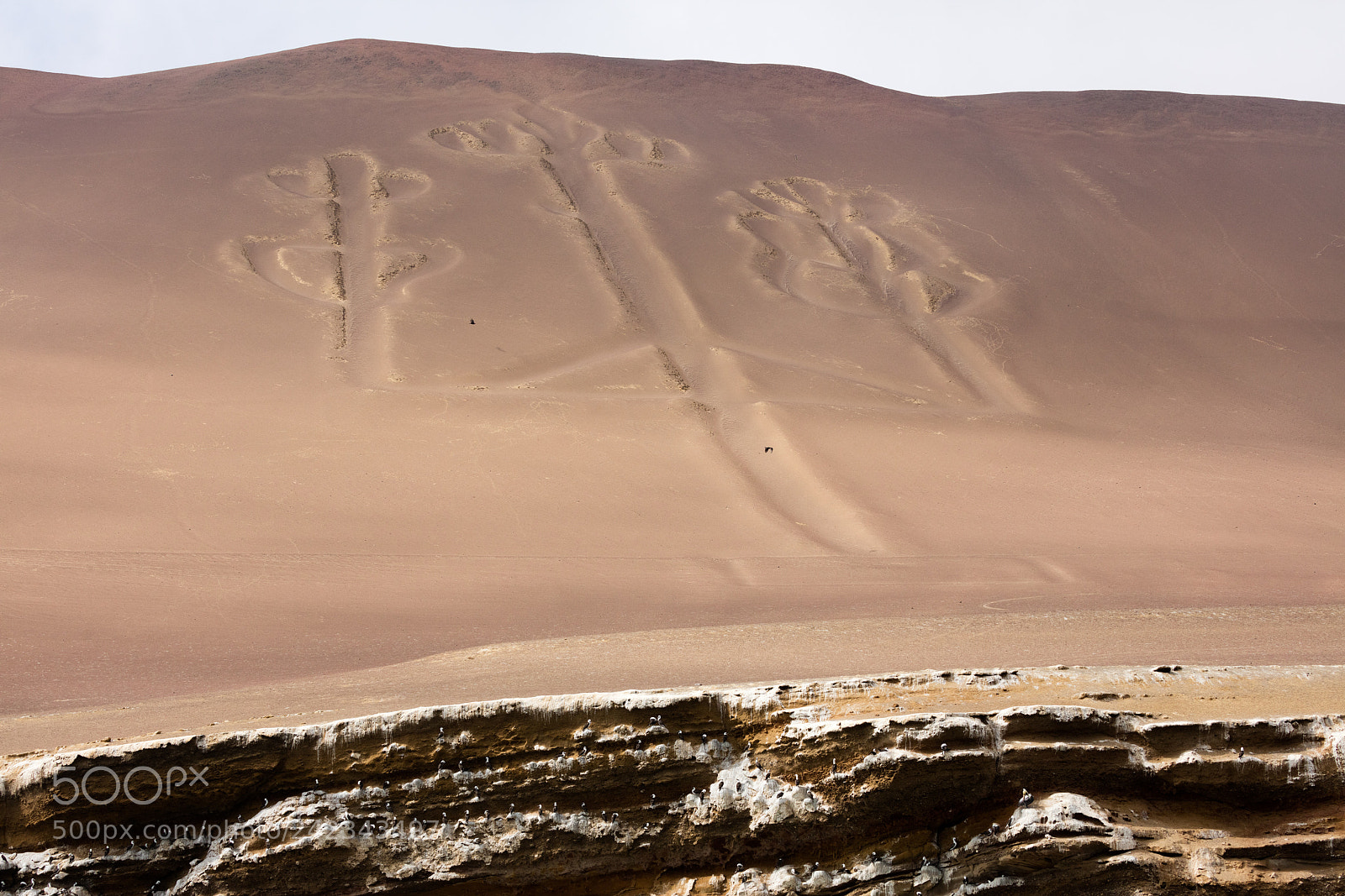 Canon EOS 5DS R sample photo. Ballestas candelabrum mark photography