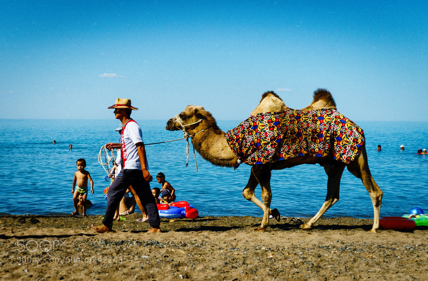 Sony a7 II sample photo. Camel on balkhash sea photography