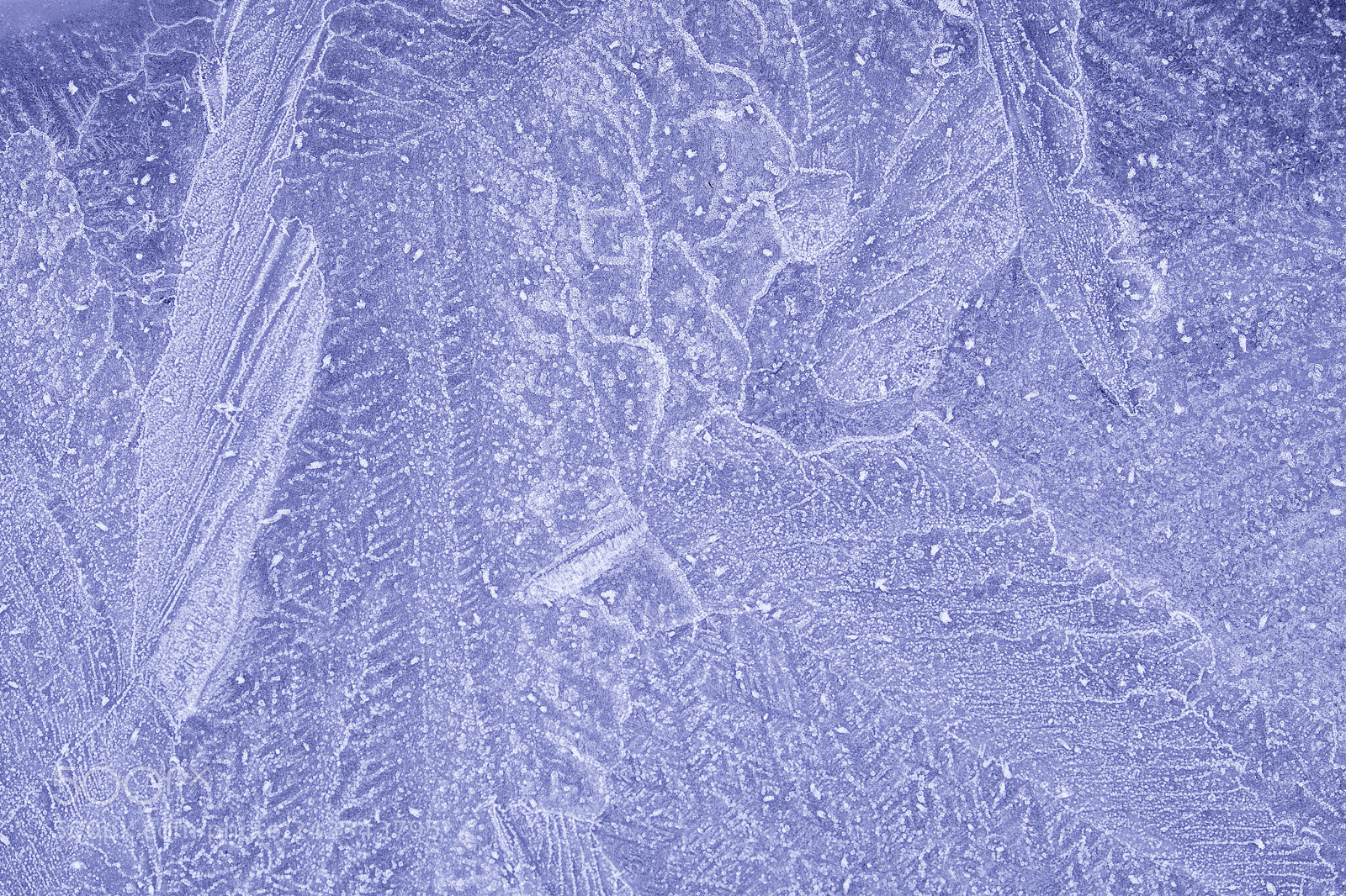 Fujifilm X-T1 sample photo. Ice photography