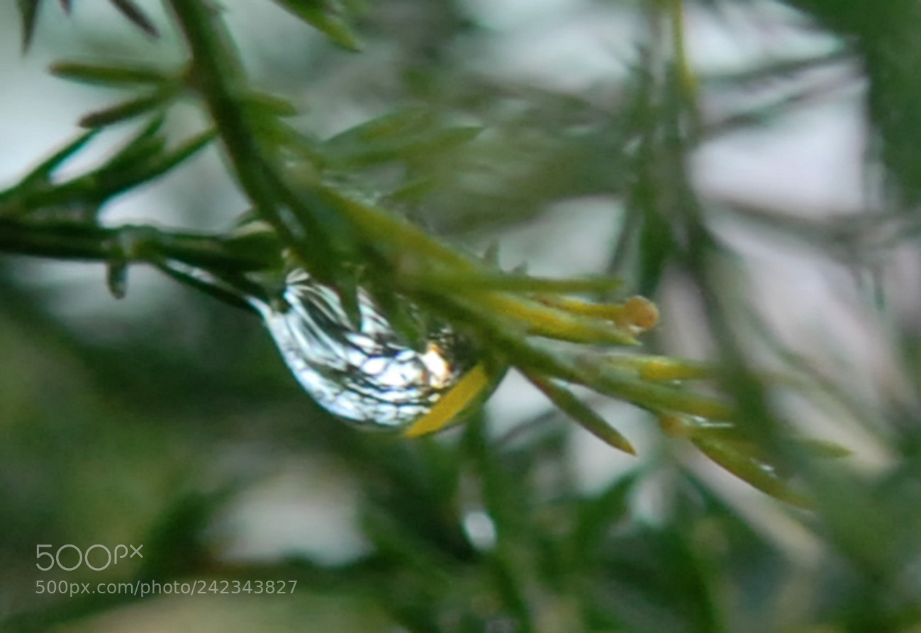 Nikon D200 sample photo. About the weather... photography