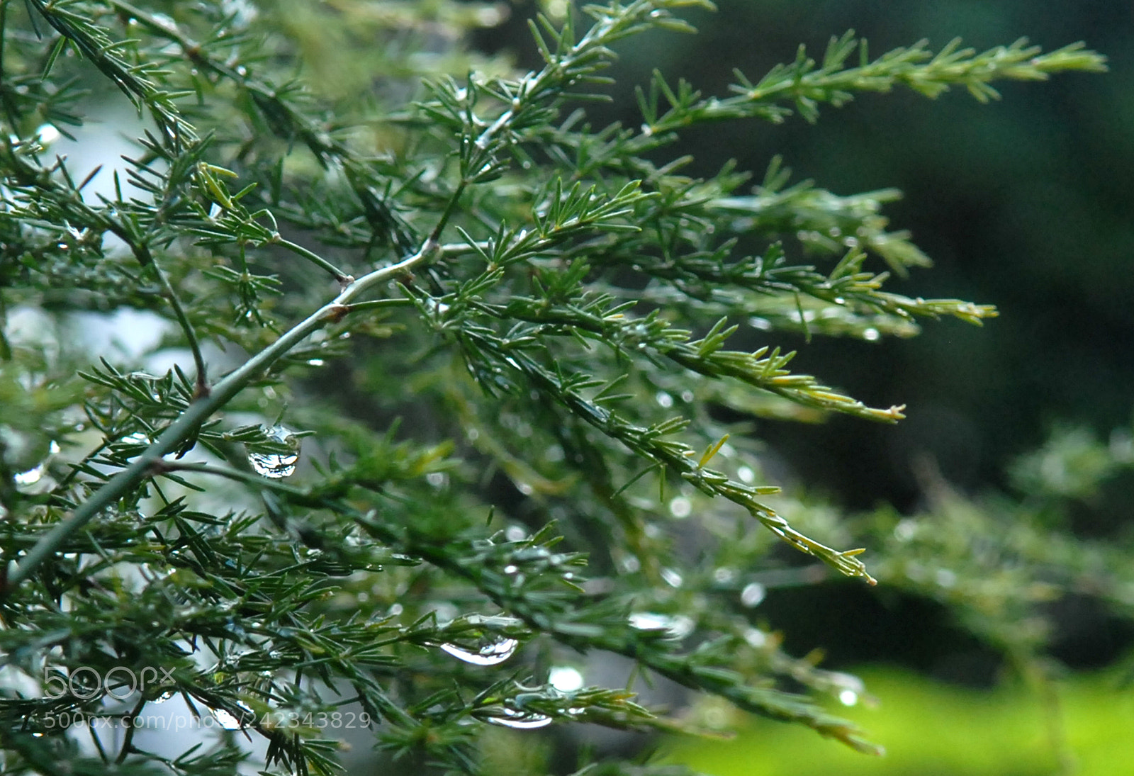 Nikon D200 sample photo. About the weather... photography