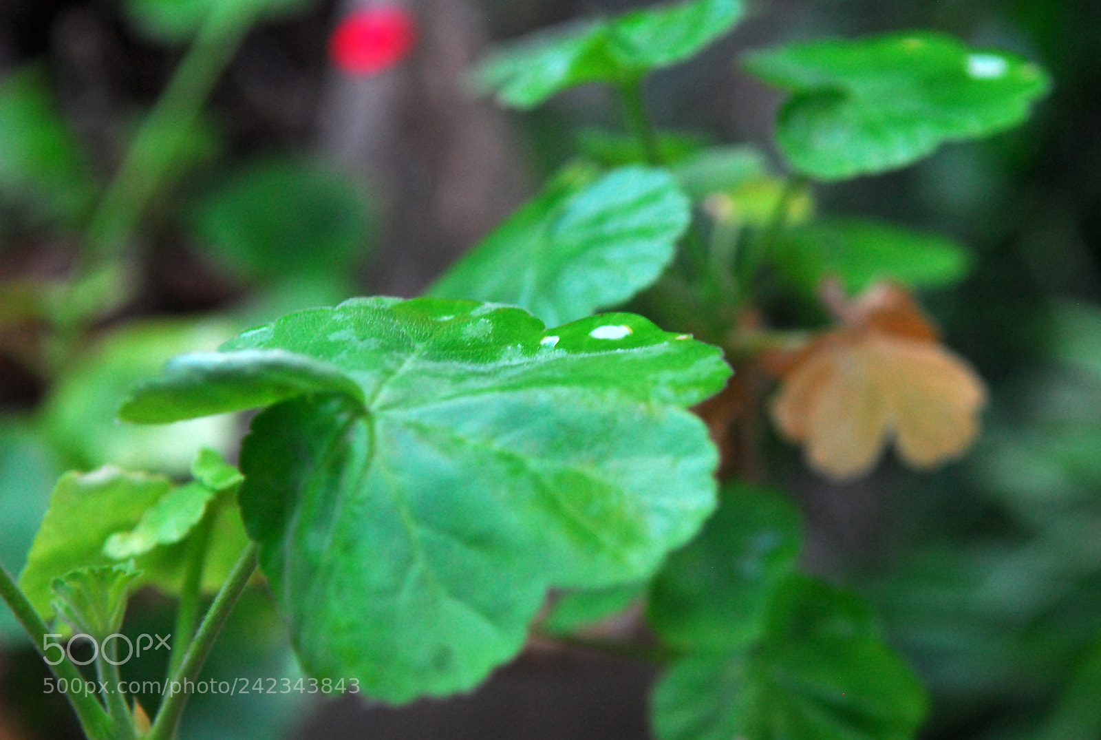 Nikon D200 sample photo. About the weather... photography